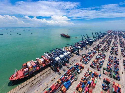 我國塑料制品進出口首現(xiàn)年內(nèi)正增長，四季度形勢仍面臨考驗