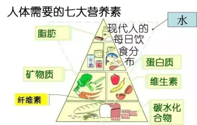 花費(fèi)3萬(wàn)塊找營(yíng)養(yǎng)師咨詢減肥，梳理出的精華內(nèi)容都在這里！減肥必看！