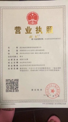 武漢淘樂思教育咨詢公司 深耕教育咨詢，賦能學(xué)習(xí)未來